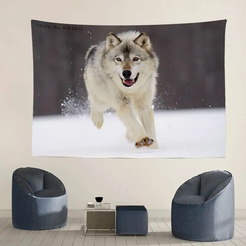 wolf