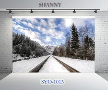 

SHANNY Vinyl Custom Photography Backdrops Prop Scenery theme Photo Studio Background SYO-1013