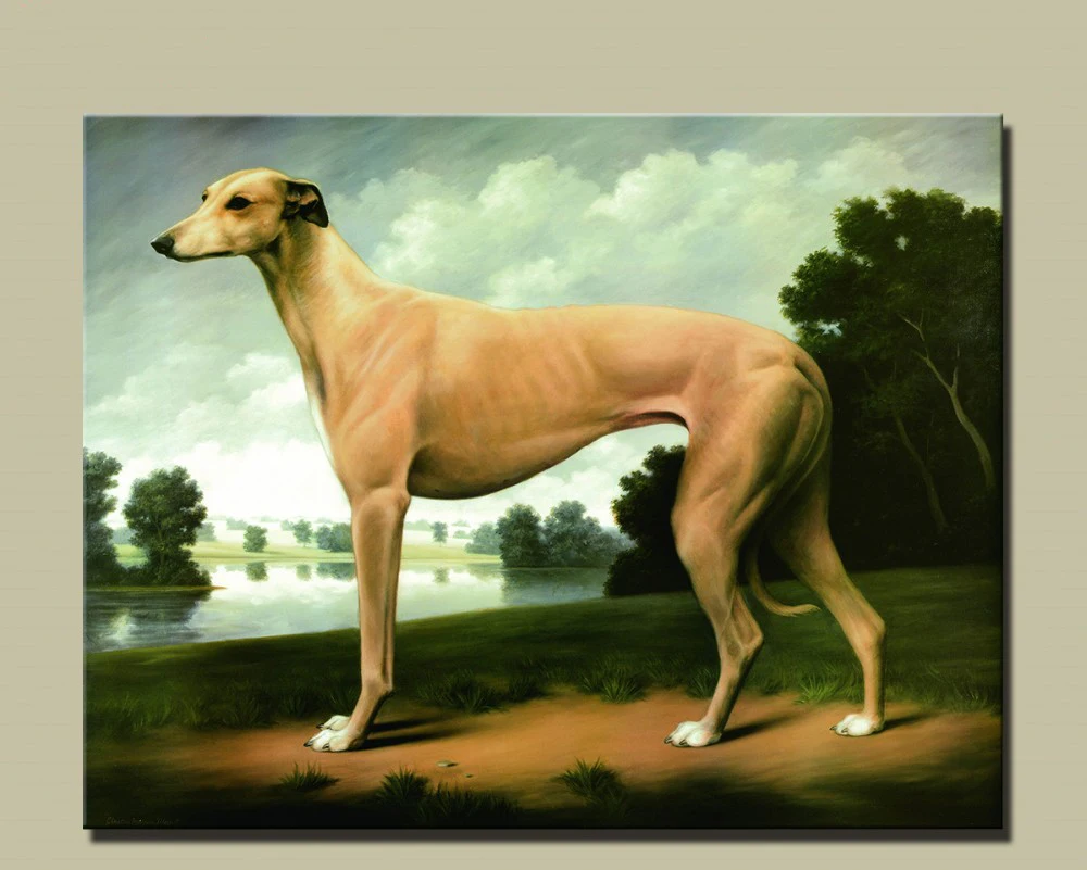 

A Greyhound Picture Office Decoration Oil Painting Modern Canvas Paintings Wall Art Free Shipping Unframed