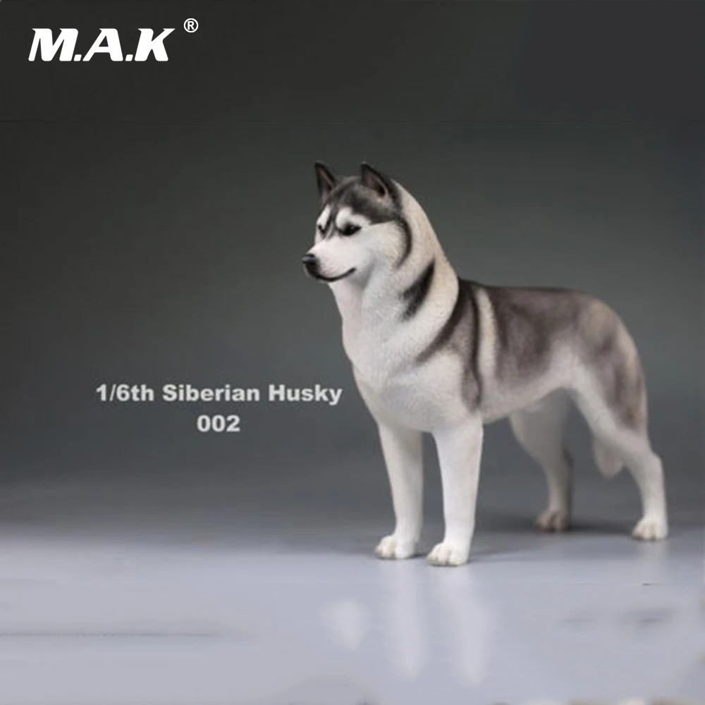 В наличии 1/6 фигурку аксессуар Сибирского Хаски моделирование Животные XVI 002