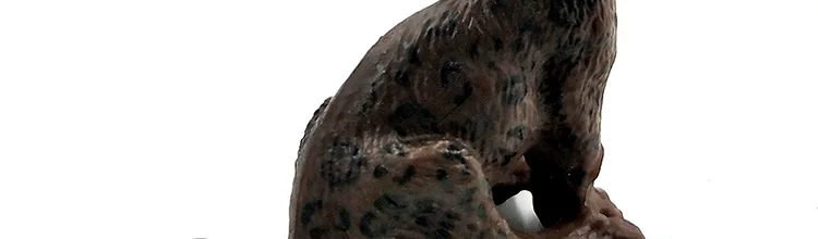 -2--DW-M-LP531-535_18