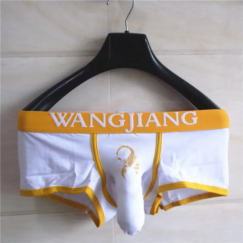 Fashion Mens Sexy Funny Panties Men Penis Sheath male panties Exotic