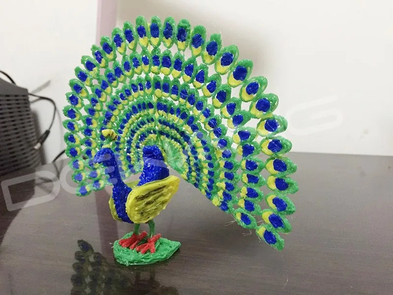 3125929355_37187131