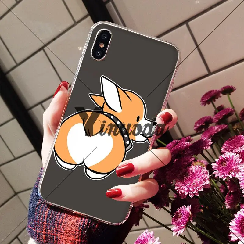 Animal cute Welsh Corgi sexy ass