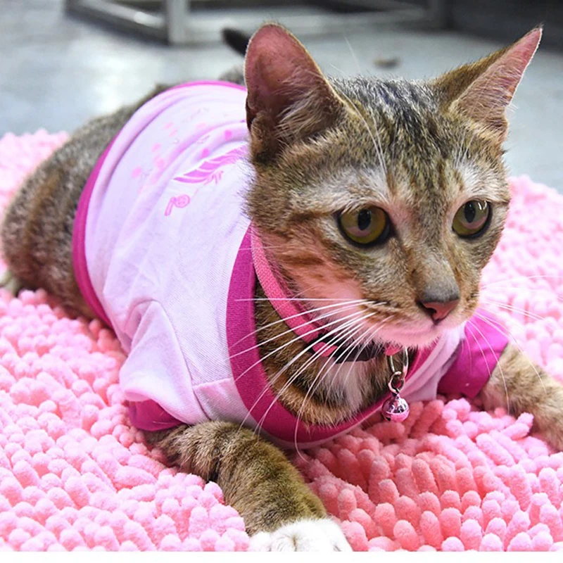 

Cute Summer Cat Costumes Clothes Cartoon Cotton Cat Vest Pet T-shirt Clothing For Cats Kitty Kitten Shirt Outfit Pet Dog Clot