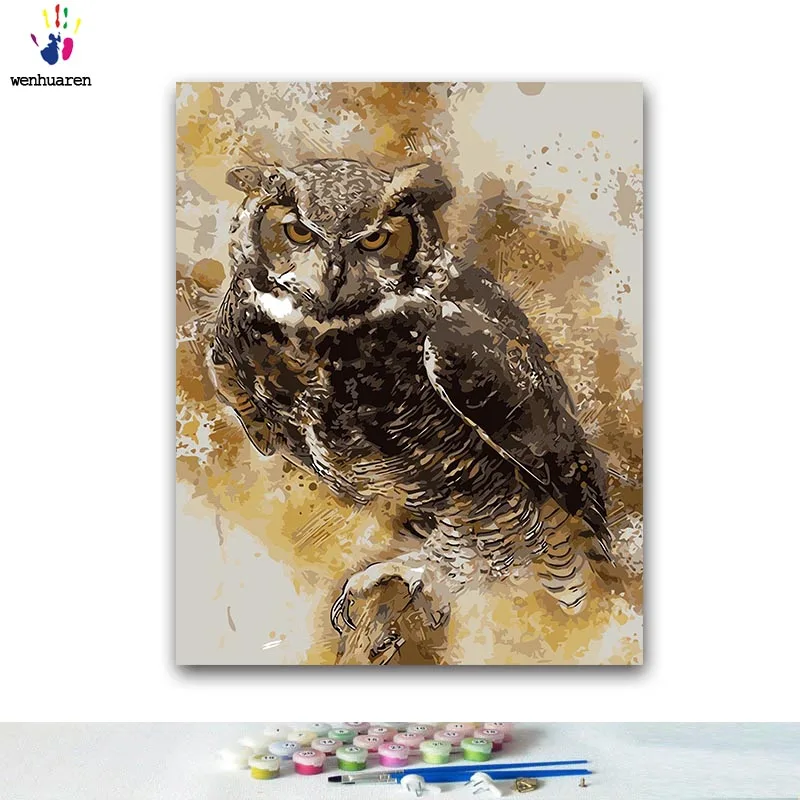 

DIY Coloring paint by numbers owl paintings by numbers with kits 40x50 framed