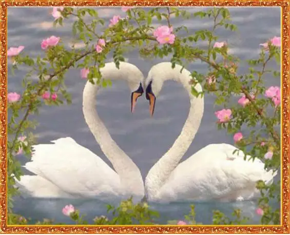 

New Diy diamond embroidery animals swan rhinestones set cross stitch diamond mosaic decor for home weeding gifts LXY105