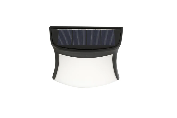 _P2A4439-