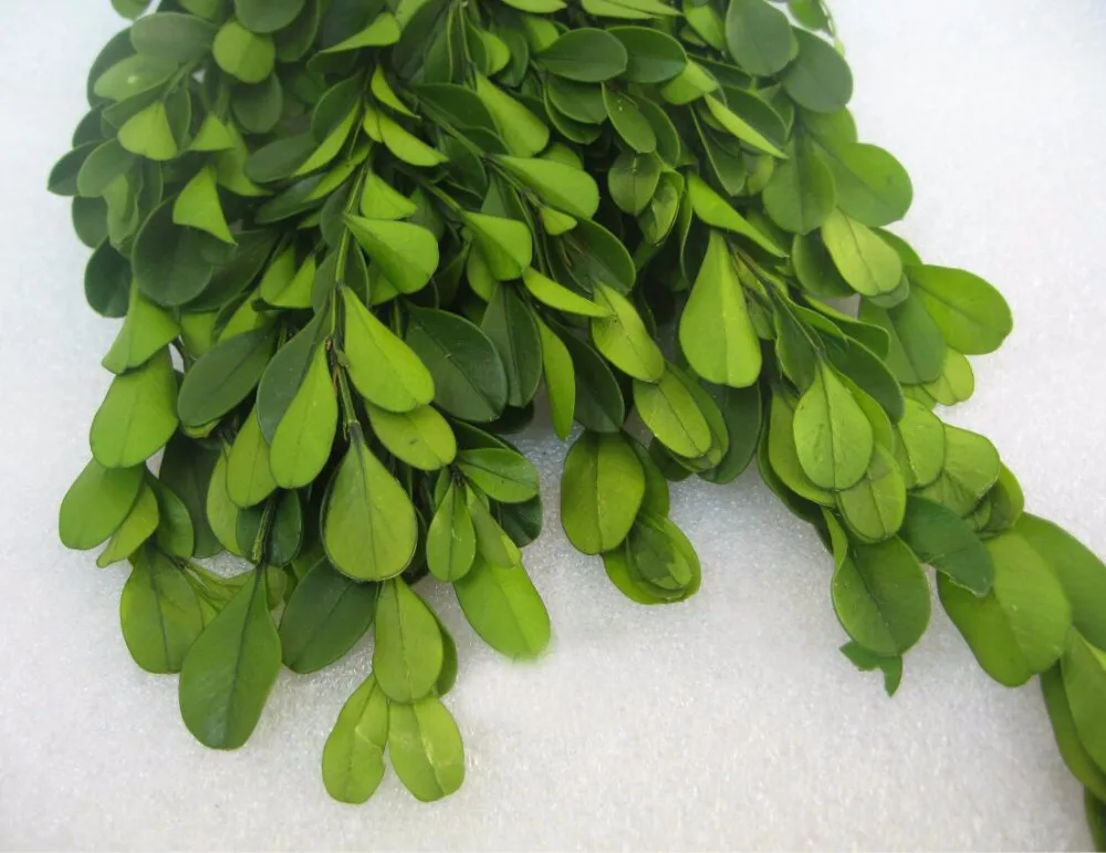 -3