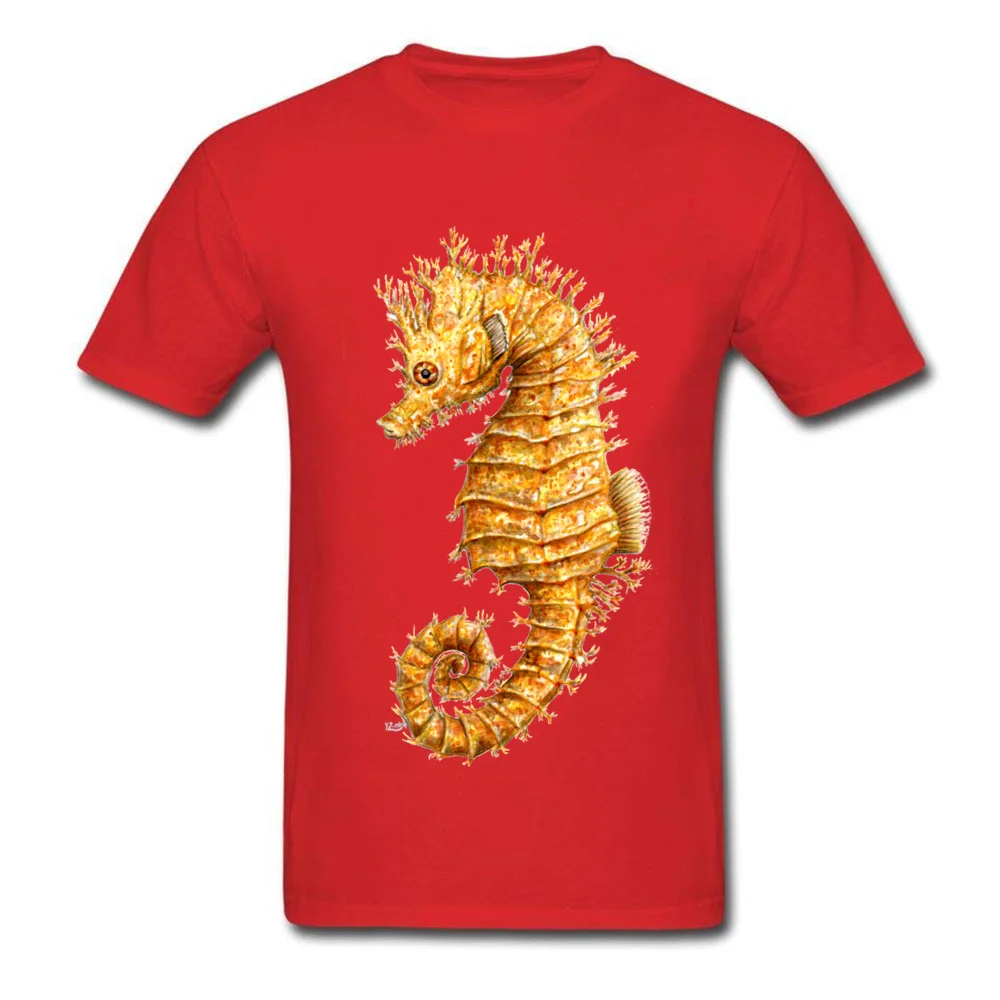 Horse of the seas Common seahorse_red