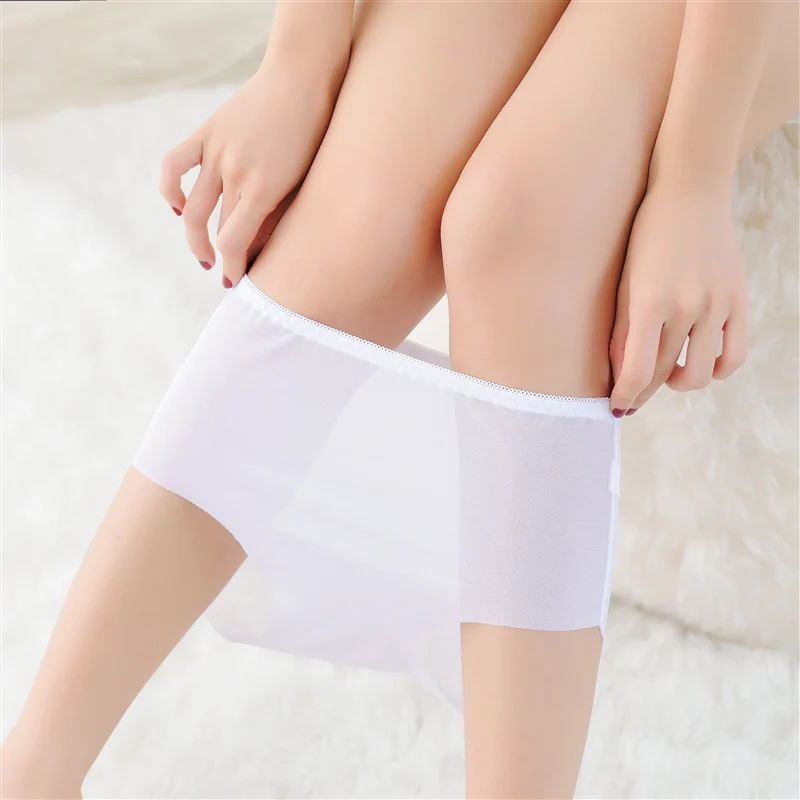 Summer Transparent Seamless Panties Sexy Women Underwear Panties Ultra-thin Mesh Briefs Women Cotton Crotch Plus Size Sexy Panty (9)