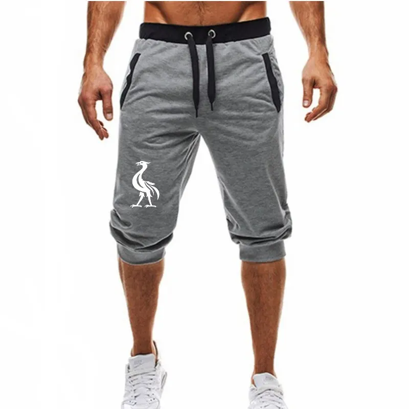 plus size sweatpant shorts