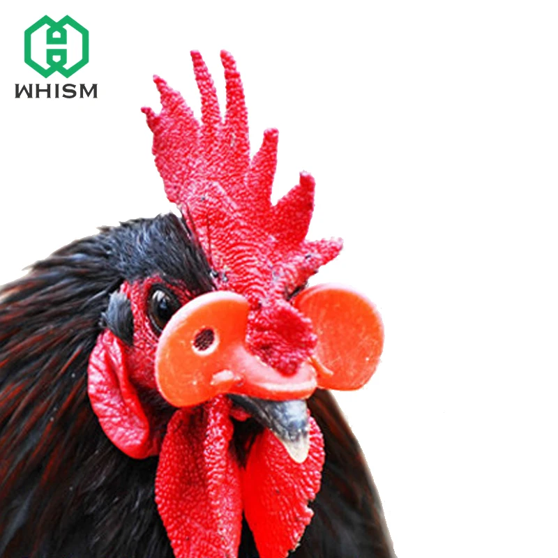 

WHISM 20pcs Chicken Beak Clasps Farming Chicken Spectacles Pheasant Chicken Mouth Cock Glasses Ring Anti-pecking Blinders Tools