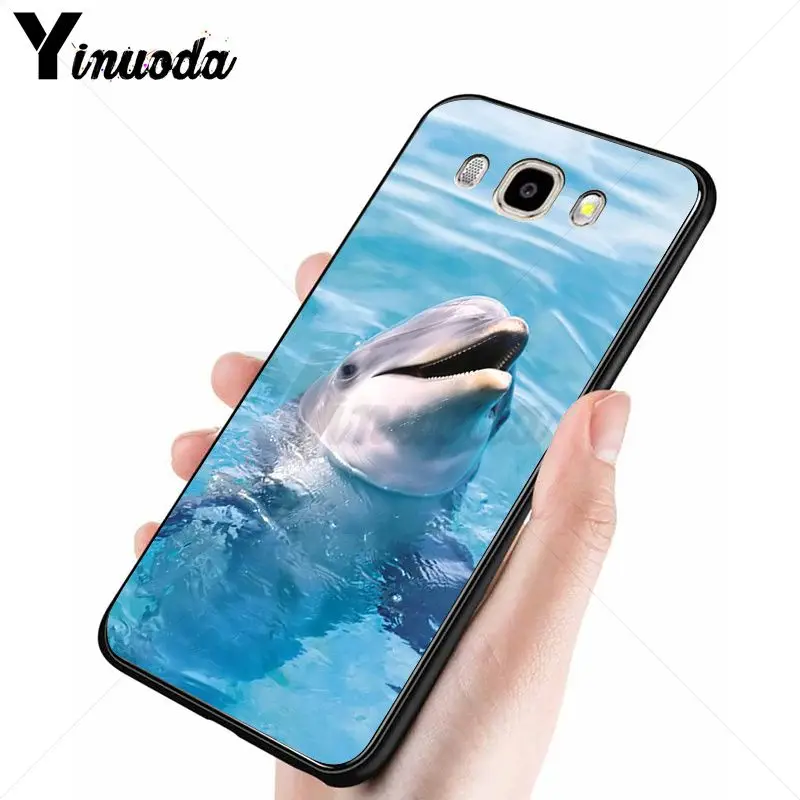 Dance Of Dolphin