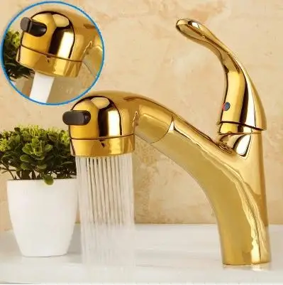 

Pull double function flower shower head bathroom scale gold faucet