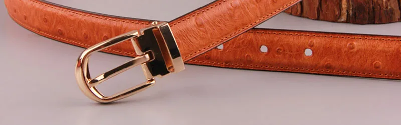 FCO038 (34)