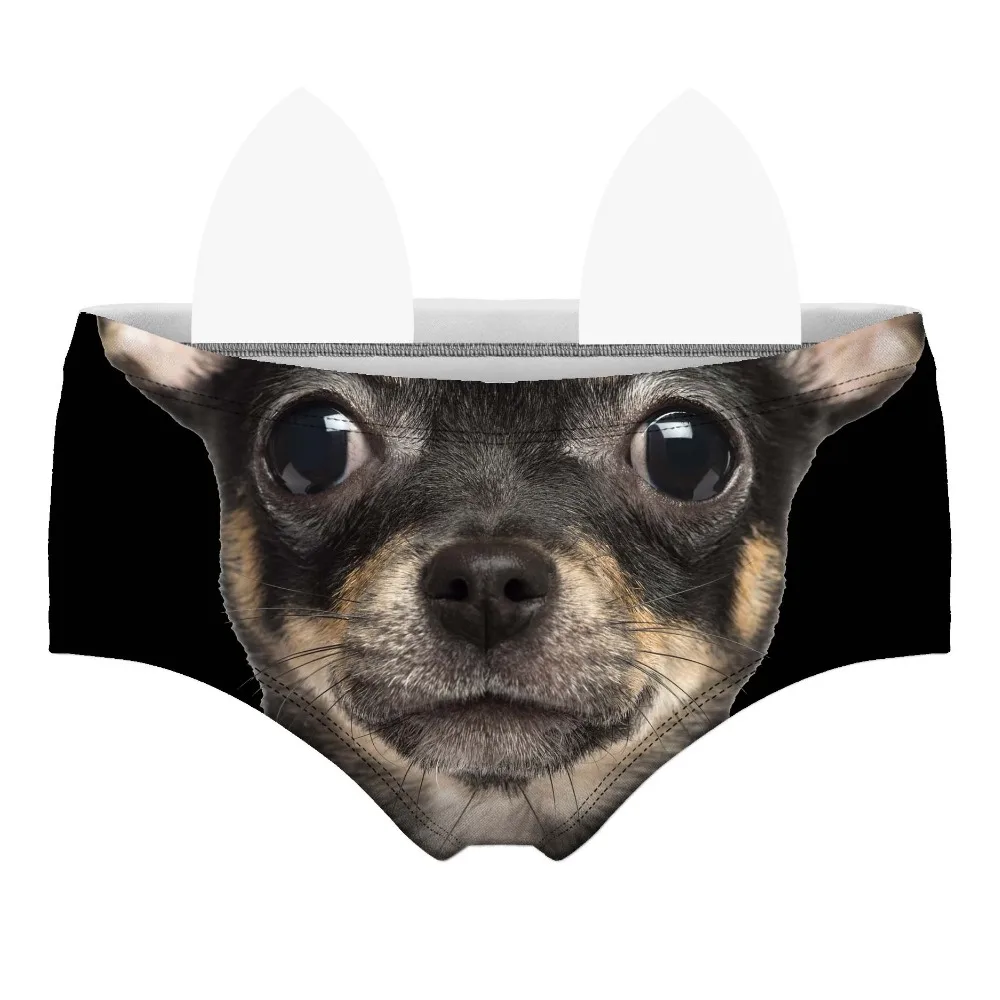 55113 pinscher wiz front 
