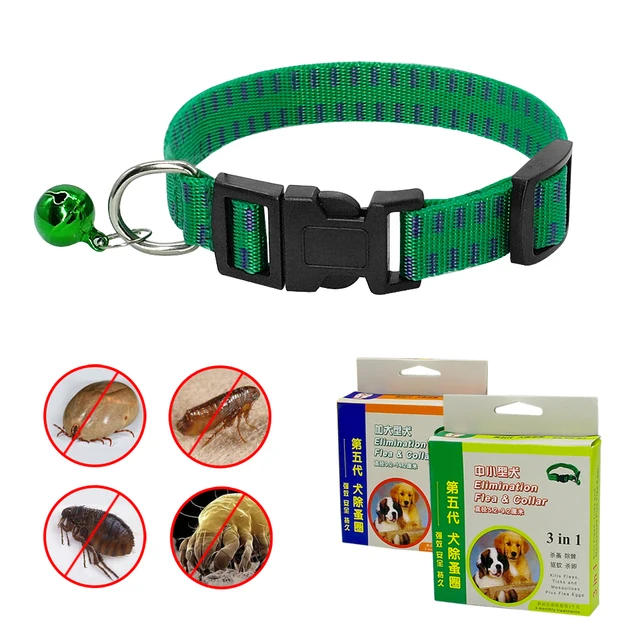 Sicurezza Dog Cat Outdoor Anti Pulci Acaro Tick Collare Collo Cinghia Regolabile Sicurezza Dog Cat Outdoor Anti Pulci Acaro Tick Collare Collo Cinghia Regolabile