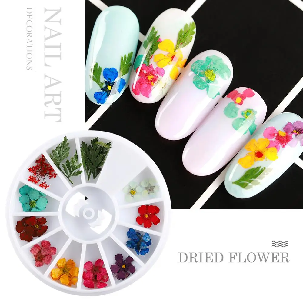 

Wheel Nail Art Decoration Rhinestones For Nail Dried Flower 3D Fashion 12 Grids Crystal Pearl Stones Pearls Strass For Nail Art