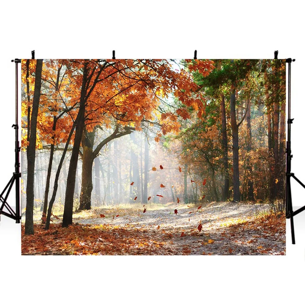 Fall Harvest Photography Backdrops Backdrop For Autumn Leaves Background Photo Studio Fundo Fotografico | Электроника