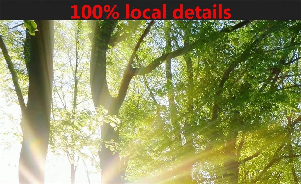 36020170809205413272