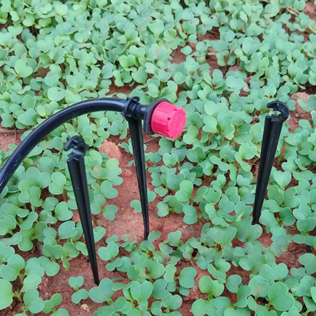 50Pcs Irrigation Drip Support Stakes 1/4 Inch Tubing Hose Holder For Vegetable Gardens Or Flower Beds Water Flow Drip Irrigation System 0007220