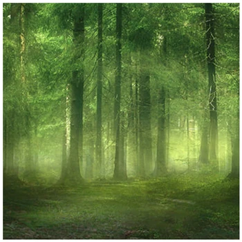 

5x7FT Vinyl Studio Backdrop Photography Prop Foggy Forest Photo Background