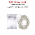 2M 20LEDs