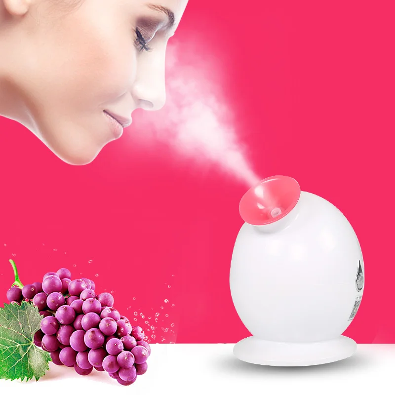 

ELECOOL Beauty Face Steaming Device Facial Steamer Deep Pores Cleanser Thermal Sprayer Spa Skin Clean 50Hz Beauty tool US Plug