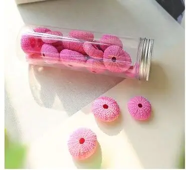 

1 Bottle Natural Small Pink Sea Urchin Bottle Set Natural Shell Conch Beach Wedding Decorate Home Decoration C29849