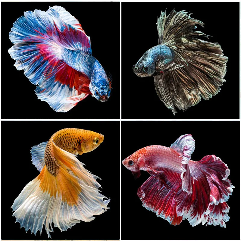 

Resin Full Square Drill Colorful Fish Wall Decorations5D DIY Diamond Painting Embroidery Kits Mosaic Cross Stitch Adults Crafts