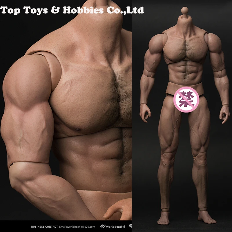 

IN stock 1/6 Scale 33cm tall Male Body Figure AT027 Durable Body Ripped Muscular Man Strong Body Muscular Body