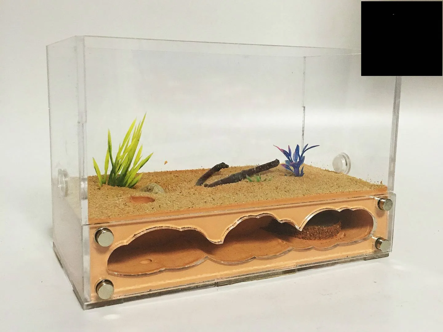 

1PCS Ant Nest Acrylic West Point S Handmade Ant Nest Belly Ant House Birthday Gift ants farm house insect box