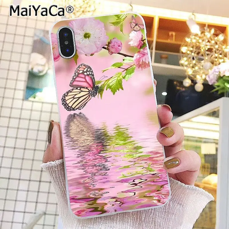 Butterfly Stand On The Cat Nose 