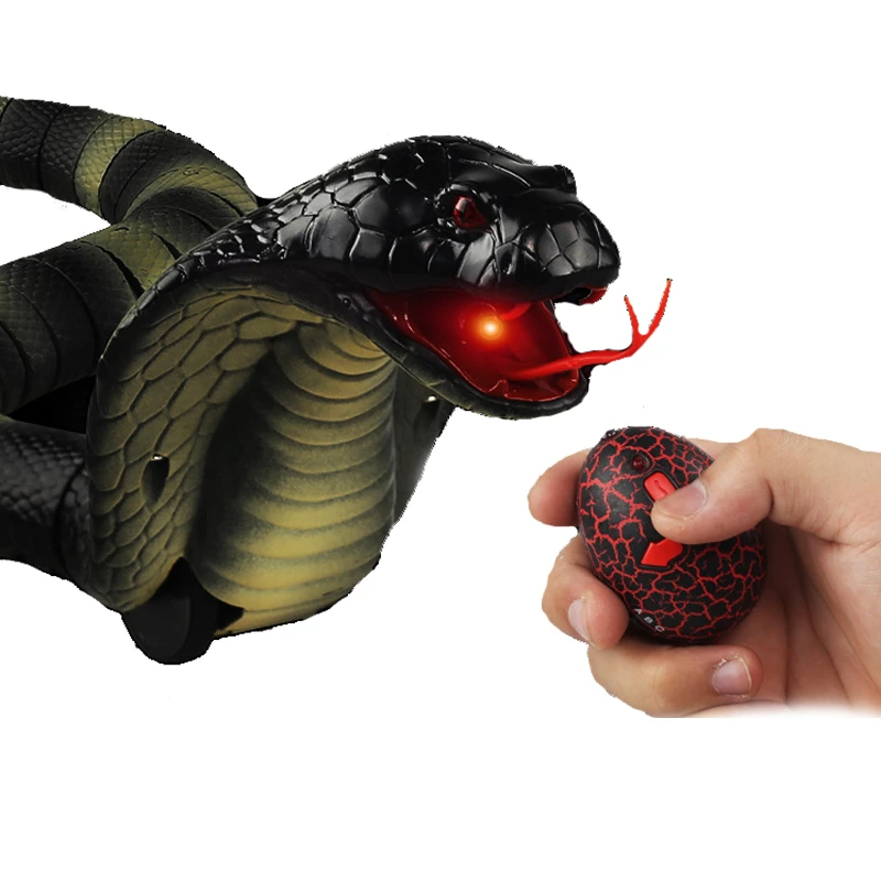 remote control snake cat toy