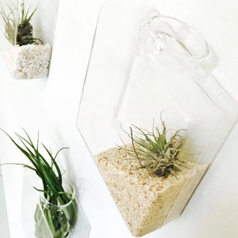 

Modern Transparent Glass Wall Mounted Hanging Hydroponics Vase Terrarium Bottle Air Planter Flowers Container Home Office Deco