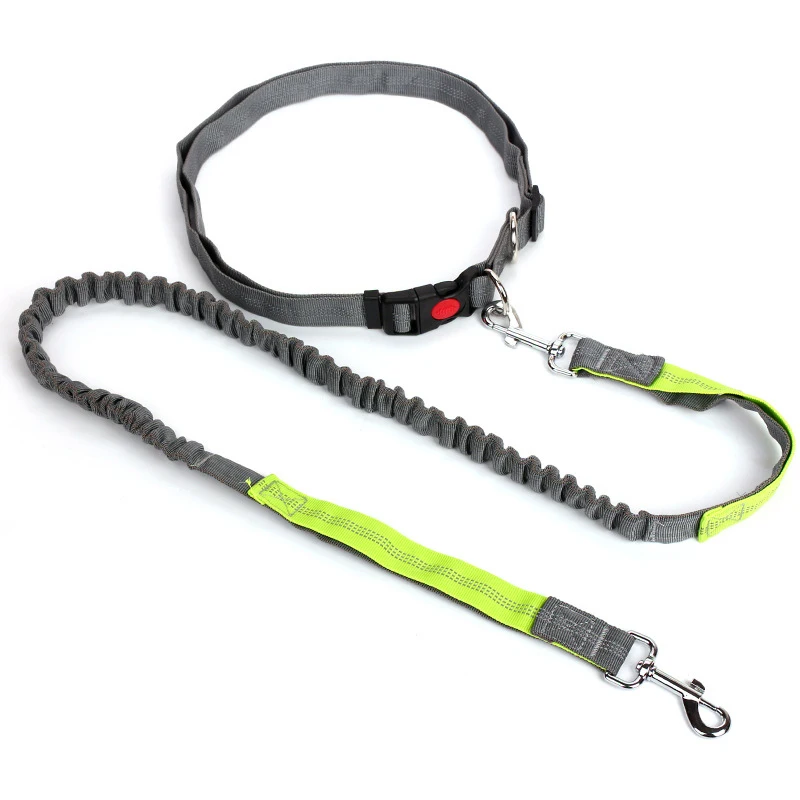 New Elastic Dog Traction Belt Rope Set Dog Leash Pet Run with Keeper Pets Sport Leash With Belt Free Hand Multifunctional Leash6