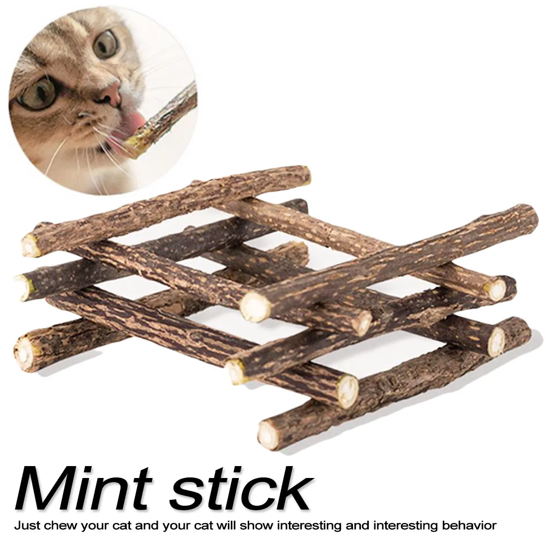 2PCS Pet Cat Molar Toothpaste Stick Silvervine Actinidia Fruit Matatabi