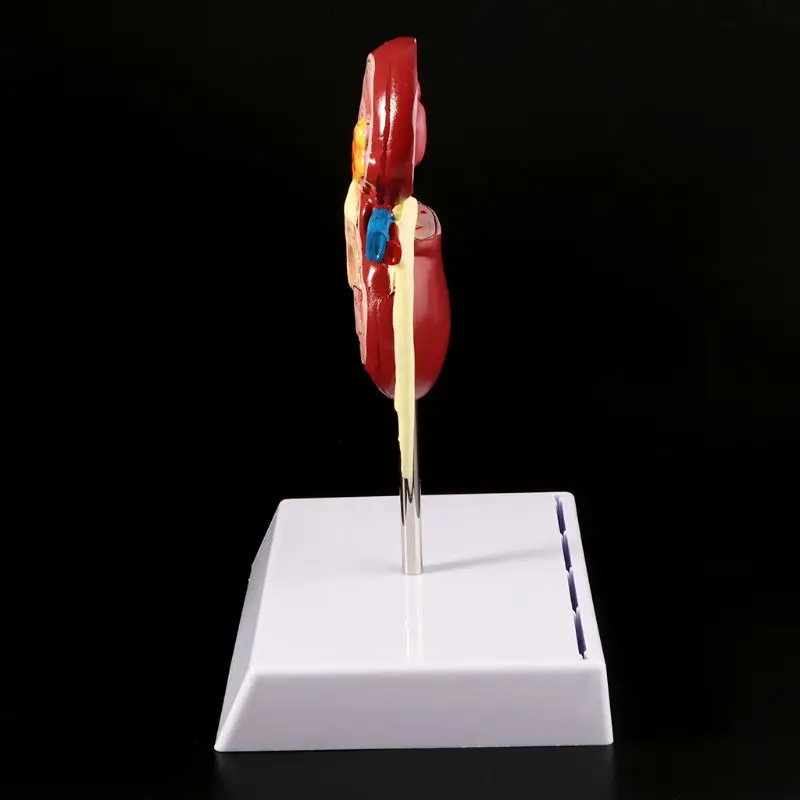 5AC1101732-6