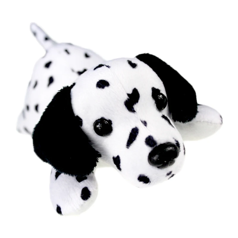 dalmatian dog_1