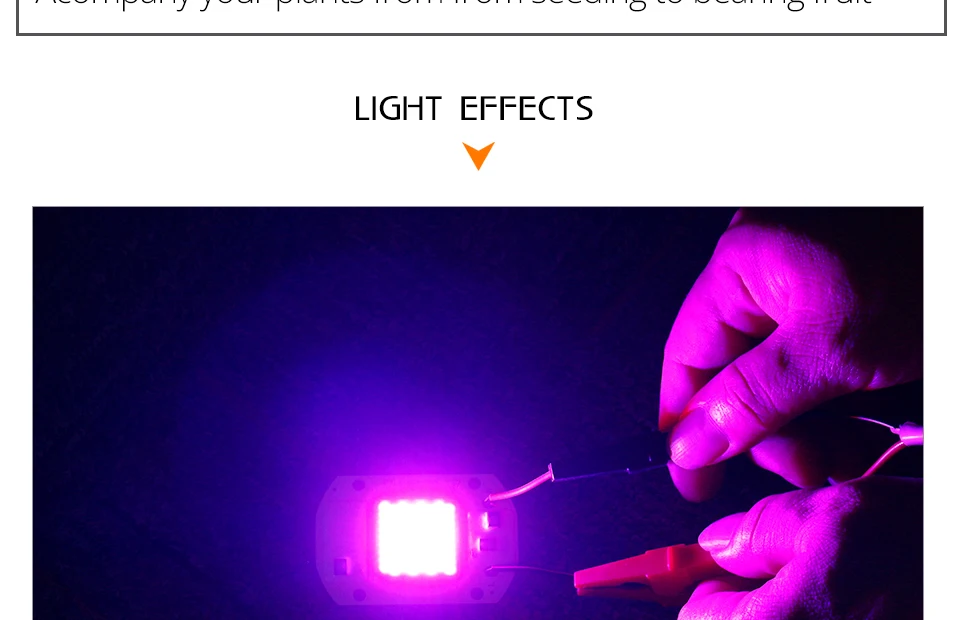 grow led cob chip (7)