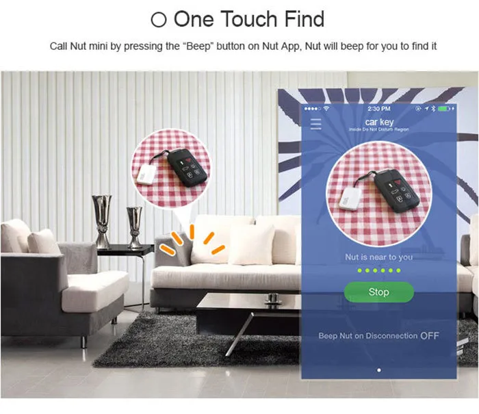 aeProduct.getSubject()