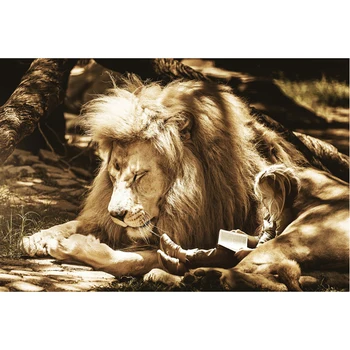 

Diamond Painting Lion Broderie Diamant Cartoon Diamond Cross Stitch European And American Style Home Decor Round Picture