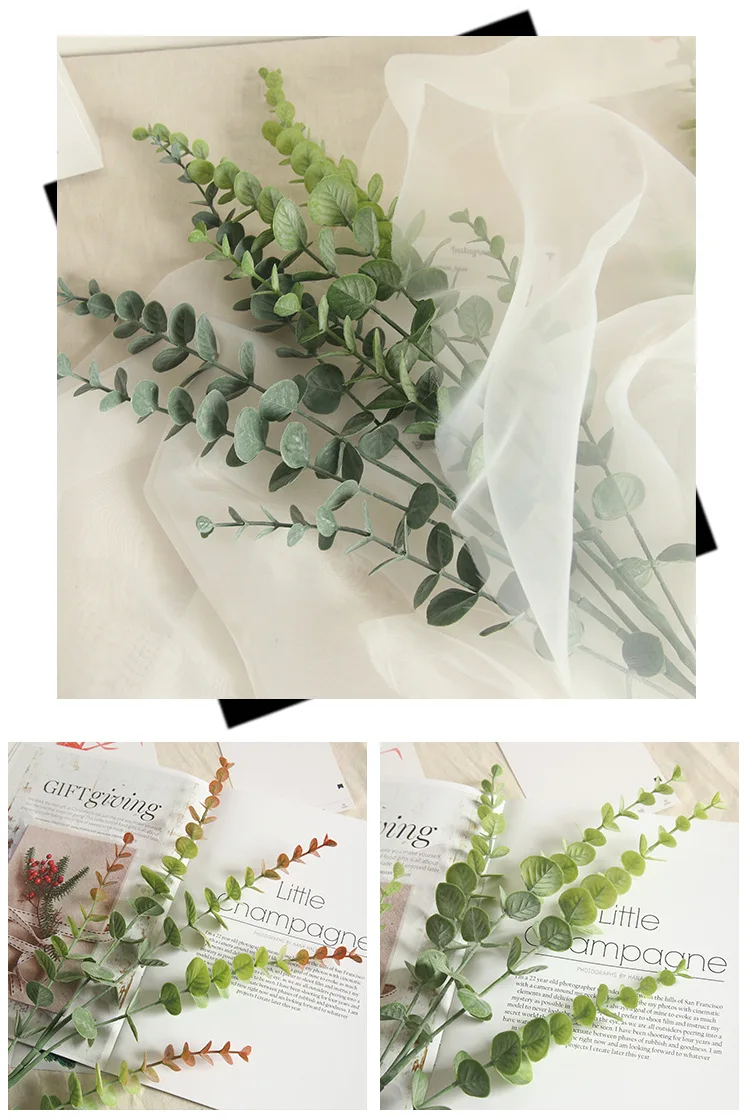 10892903900_1245478559