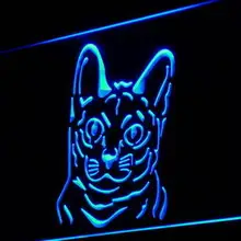 I990 Корат Cat Pet Shop Симпатичные коллекция свет знак на/выключения 20+ Цвета 5 размеров