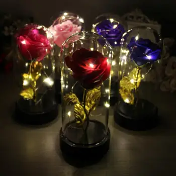 

HiMISS Luminous Preserved Rose Flower Light with Dome 9x9x20cm for Home Wedding Decor