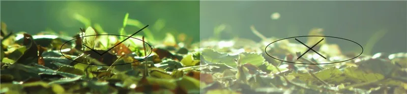 15689090_1352692830207