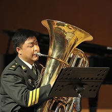 Посеребренный басовый мундштук Tuba, латунные аксессуары Tuba, бесплатная доставка Посеребренный басовый мундштук Tuba, латунные аксессуары Tuba, бесплатная доставка