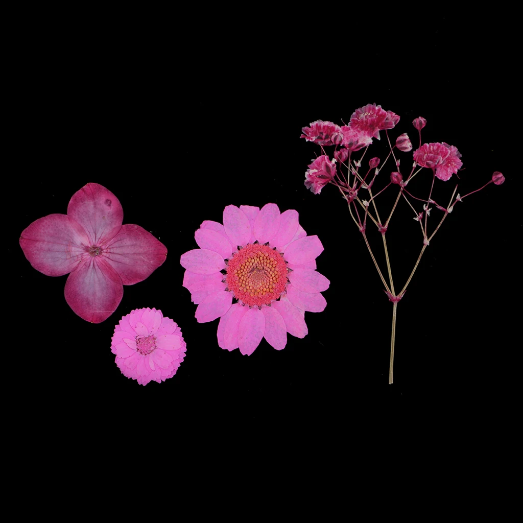Lot Pack Natural Press Leaves Pressed Real Dried Flowers Dry Leaves for DIY Scrapbooking Arts Crafts Bookmark Card Making