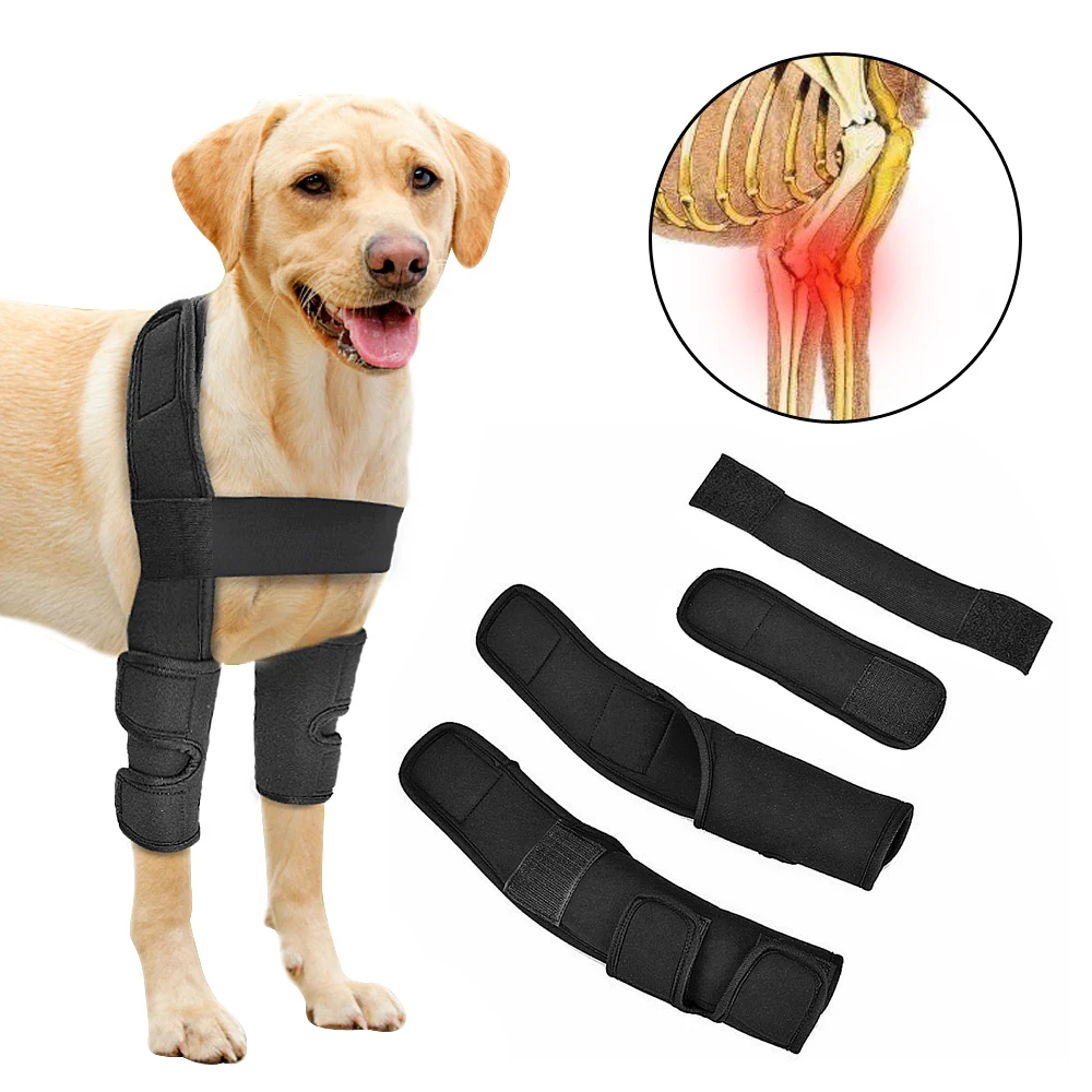 

Dog Kneepad Tools Canine Rear Leg Hock Joint Wrap Protects Wounds Heal Compression Brace Heals Prevent Injuries